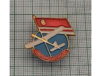 INSIGNA DE MODEL DE AEROVIUNE URSS