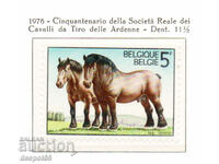 1976. Belgium. Horses.