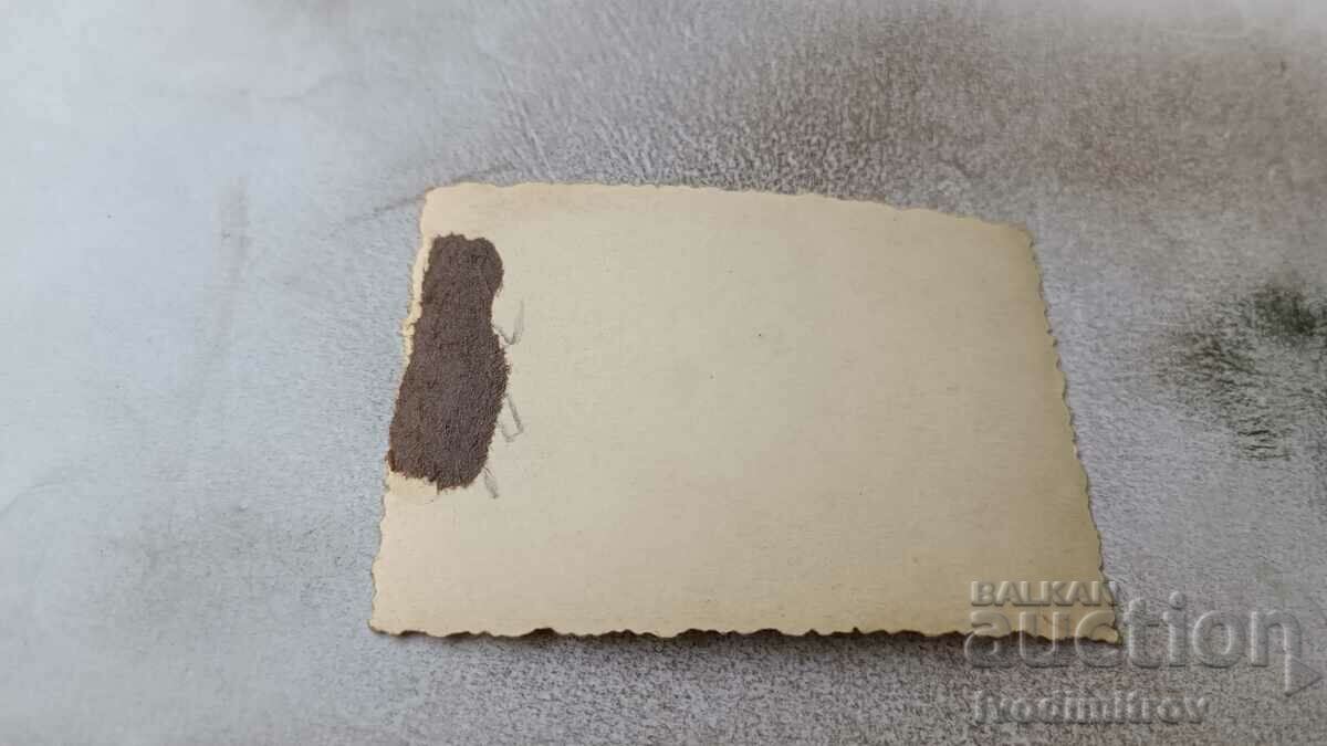 Photo Sofia Two women in winter coats on a walk with price 2.65 BGN | € 1.35 Photo Sofia Two women in winter coats on a walk with price 2.65 BGN | € 1.35