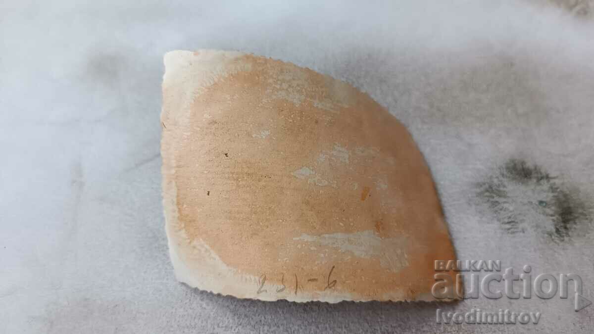 Φωτογραφία Δύο αγόρια στην παραλία με τιμή 2.65 BGN | € 1.35