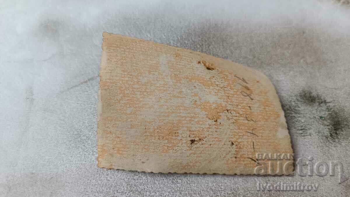 Photo Sofia A man, a woman and a little boy on a walk with price 2.65 BGN | € 1.35 Photo Sofia A man, a woman and a little boy on a walk with price 2.65 BGN | € 1.35