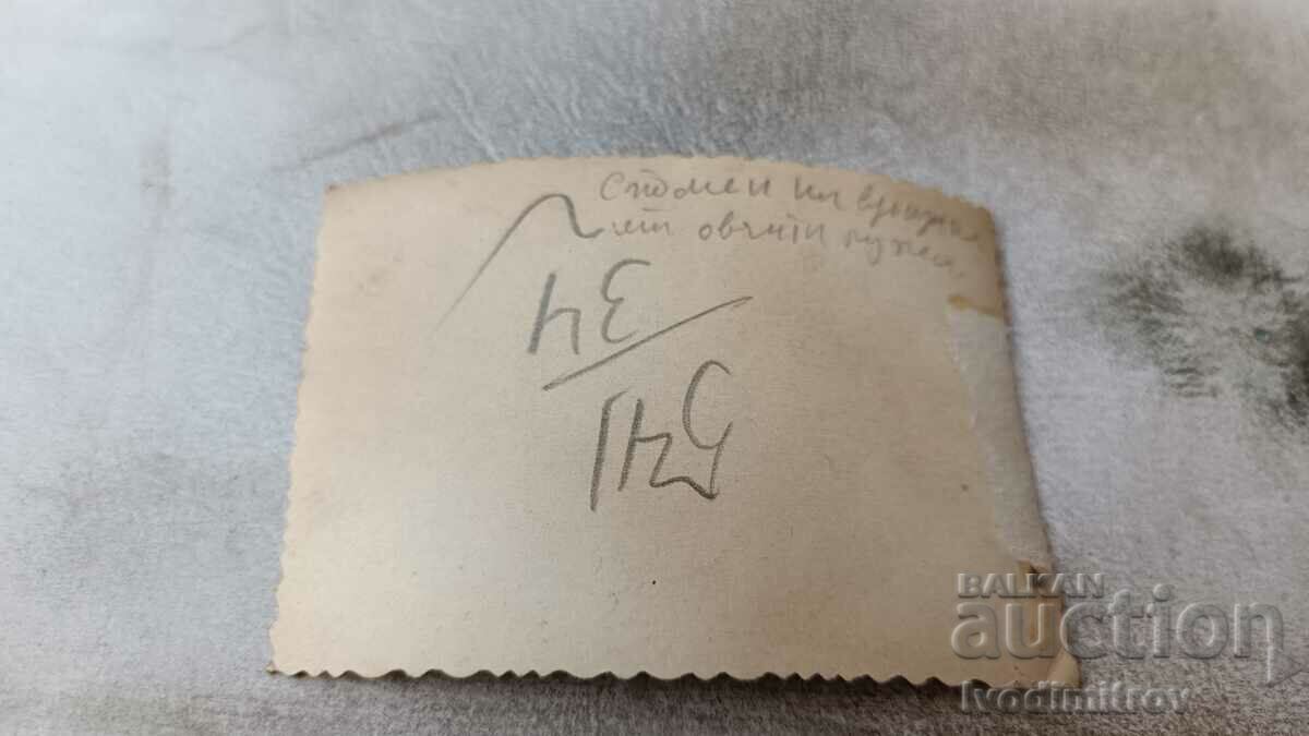 Φωτογραφία Σοφία Γυναίκα και κορίτσι σε έναν περίπατο με τιμή 1.75 BGN | € 0.89 Φωτογραφία Σοφία Γυναίκα και κορίτσι σε έναν περίπατο με τιμή 1.75 BGN | € 0.89