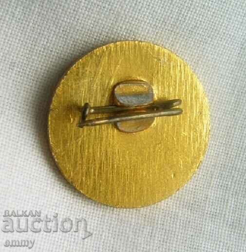 Old badge - 25 years 119 ESPU "Vl. Bashev", 1980 with price 2.00 BGN | € 1.02 Old badge - 25 years 119 ESPU "Vl. Bashev", 1980 with price 2.00 BGN | € 1.02