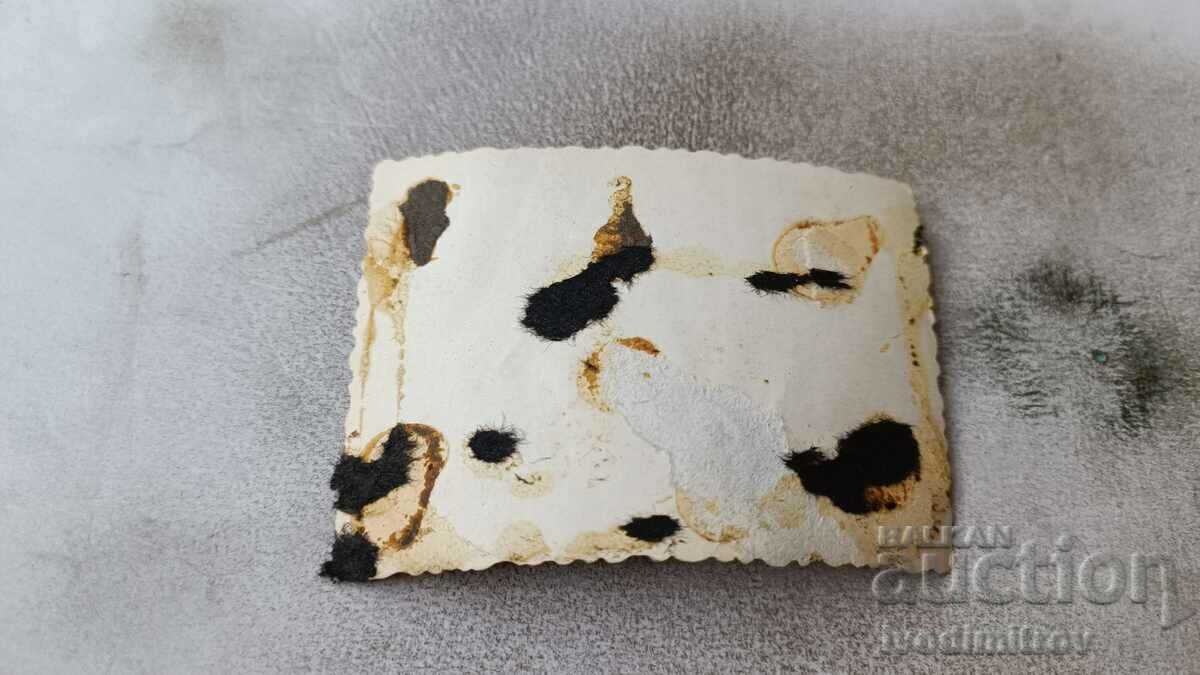 Photo Young man jumping from a diving board at a swimming pool with price 1.85 BGN | € 0.95 Photo Young man jumping from a diving board at a swimming pool with price 1.85 BGN | € 0.95