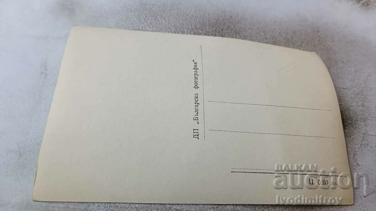 Postcard Batak View with price 2.35 BGN | € 1.20 Postcard Batak View with price 2.35 BGN | € 1.20