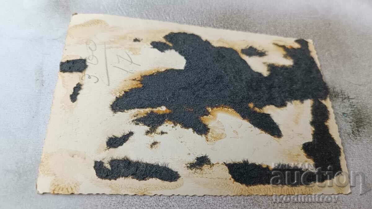 Photo Sofia Man woman and little girl on a walk with price 2.85 BGN | € 1.46 Photo Sofia Man woman and little girl on a walk with price 2.85 BGN | € 1.46