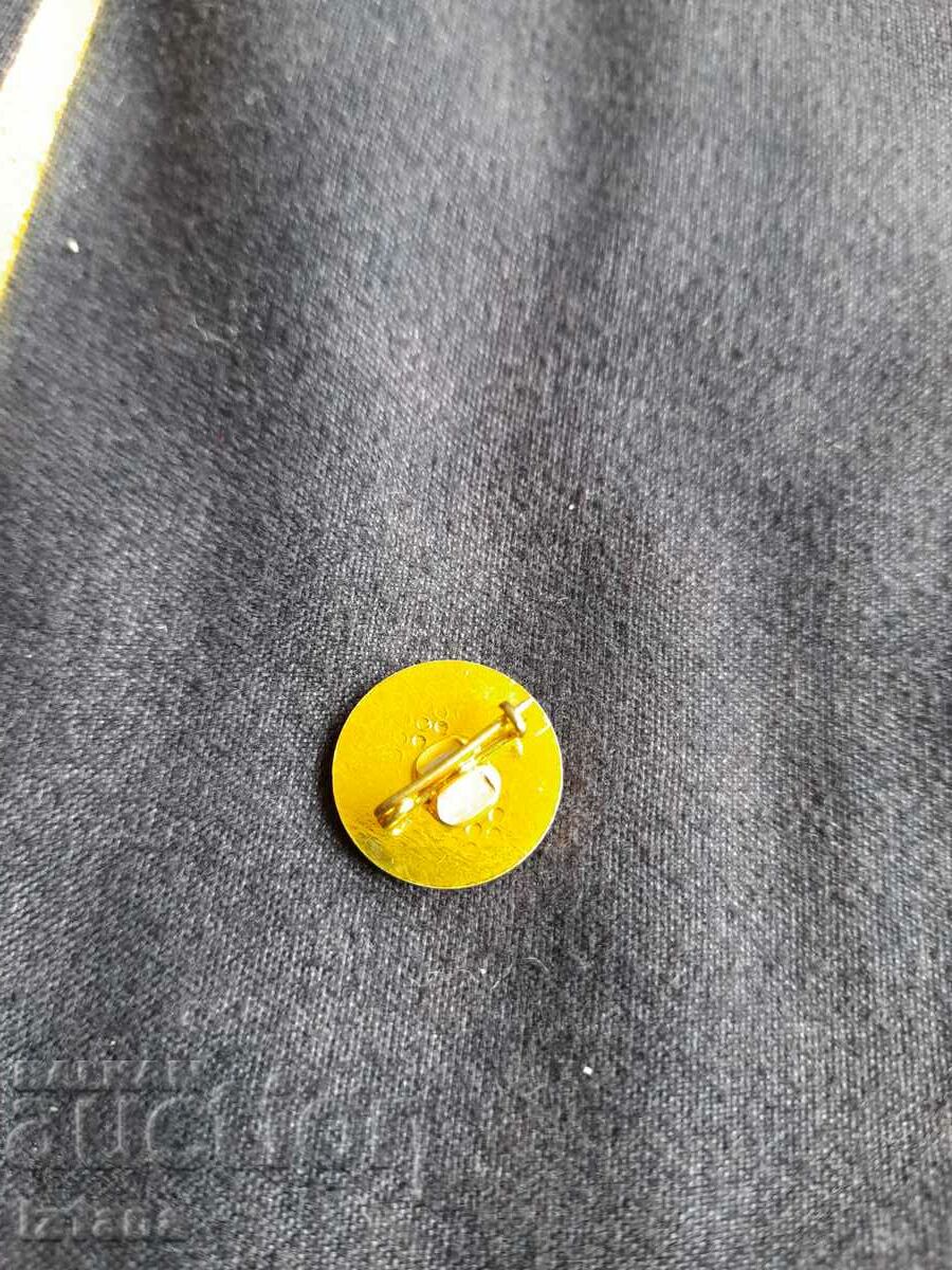 Auction KIPP Agropromproekt badge Auction KIPP Agropromproekt badge