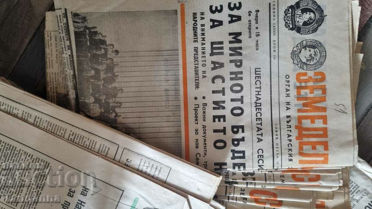 Auction  Old newspapers