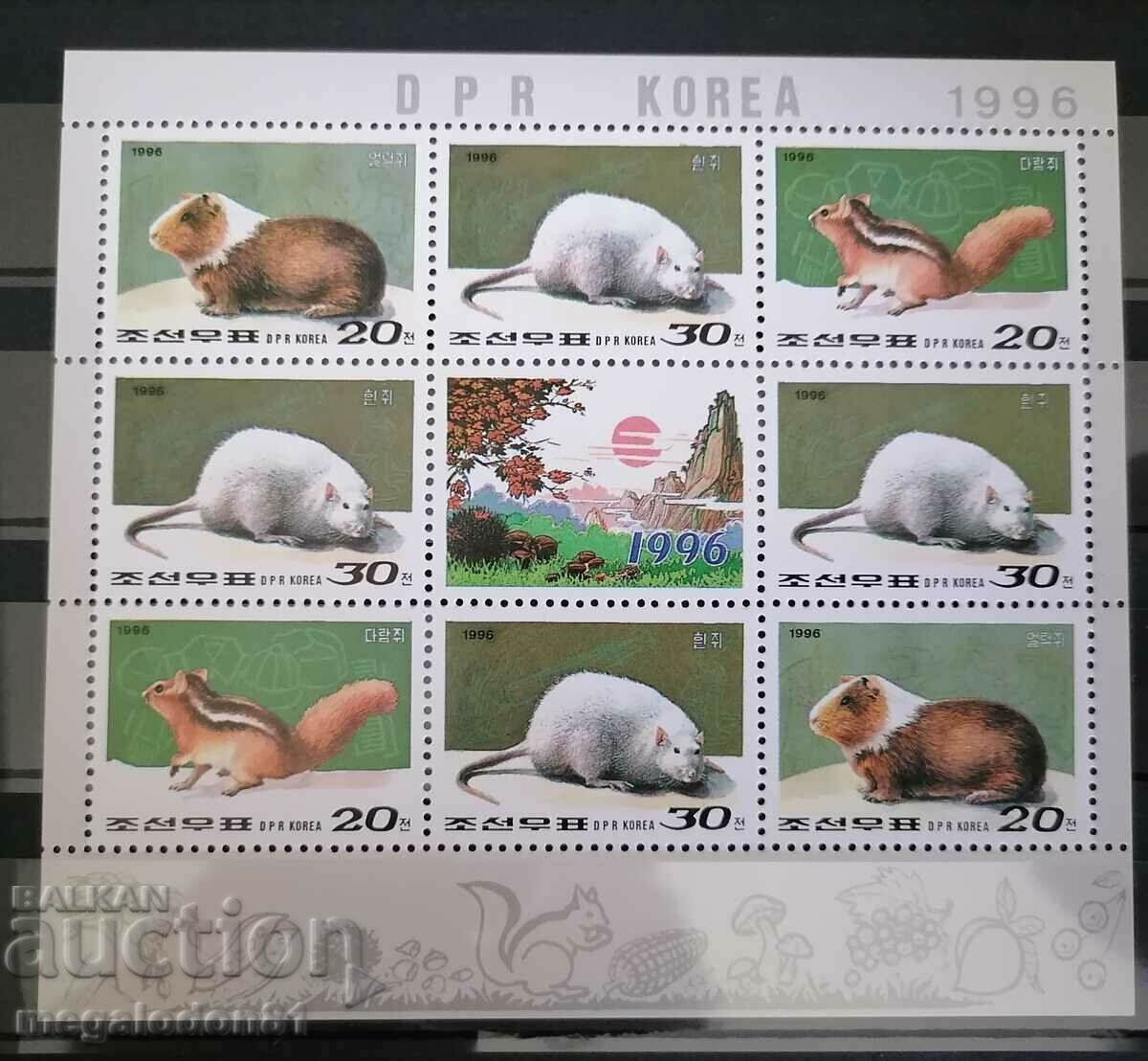 North Korea - fauna, rodents
