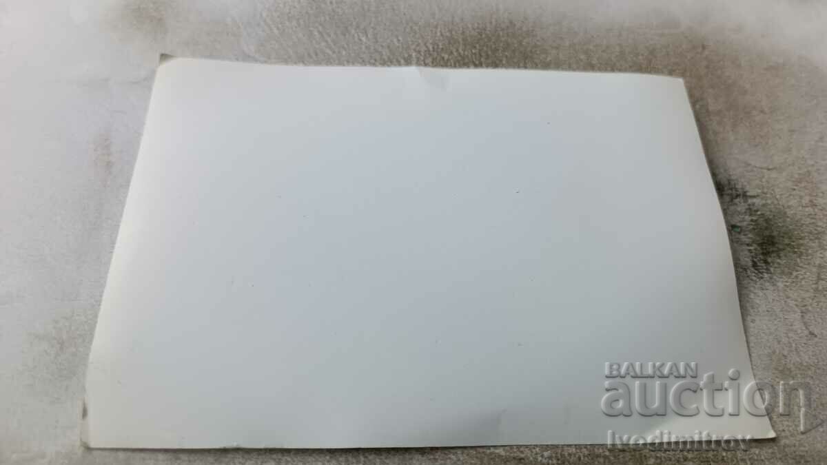 Photo Men and women in swimsuits on the lawn with price 1.45 BGN | € 0.74