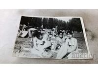 Foto Bărbați și femei în costume de baie pe gazon
