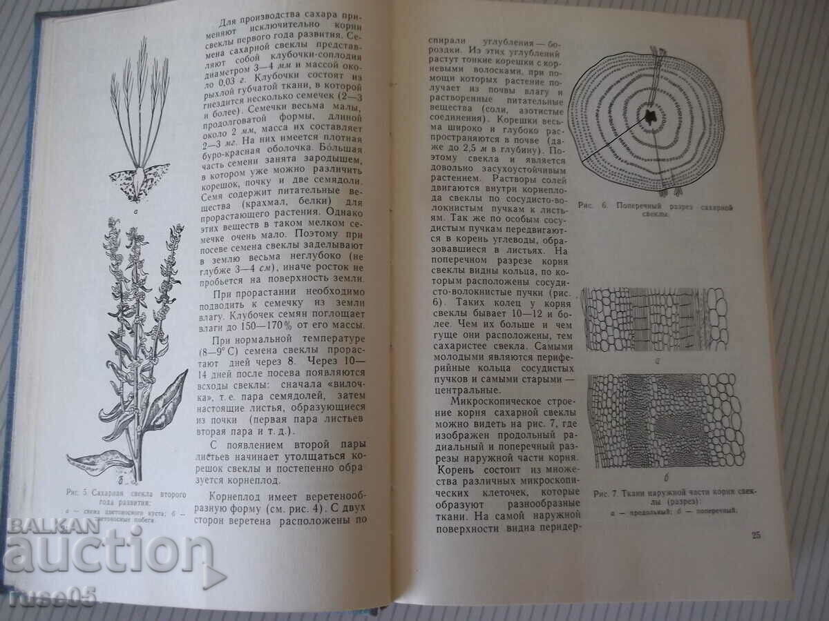 Book "Sahara Technology - P. M. Silin" - 624 pages. with price 30.00 BGN | € 15.34