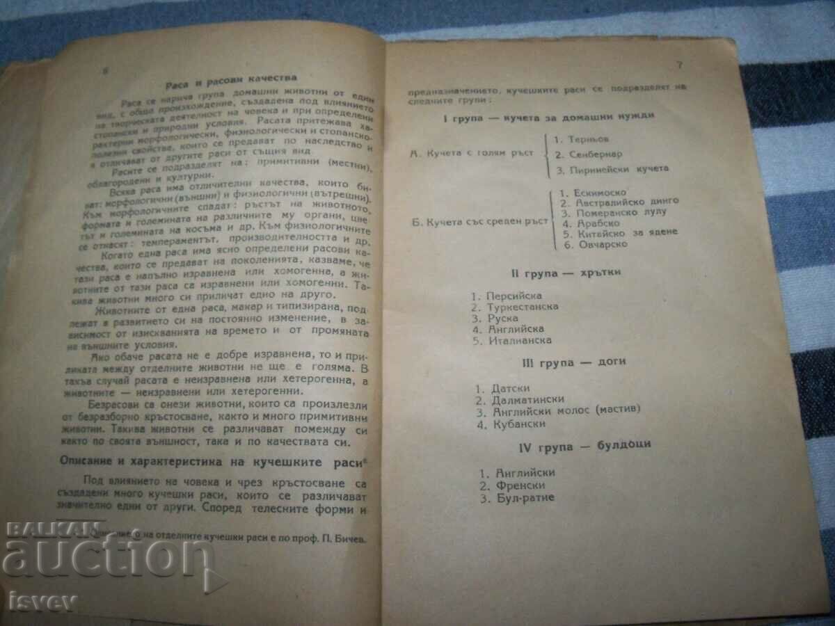 Auction  "Hunting Dogs" edition 1949.