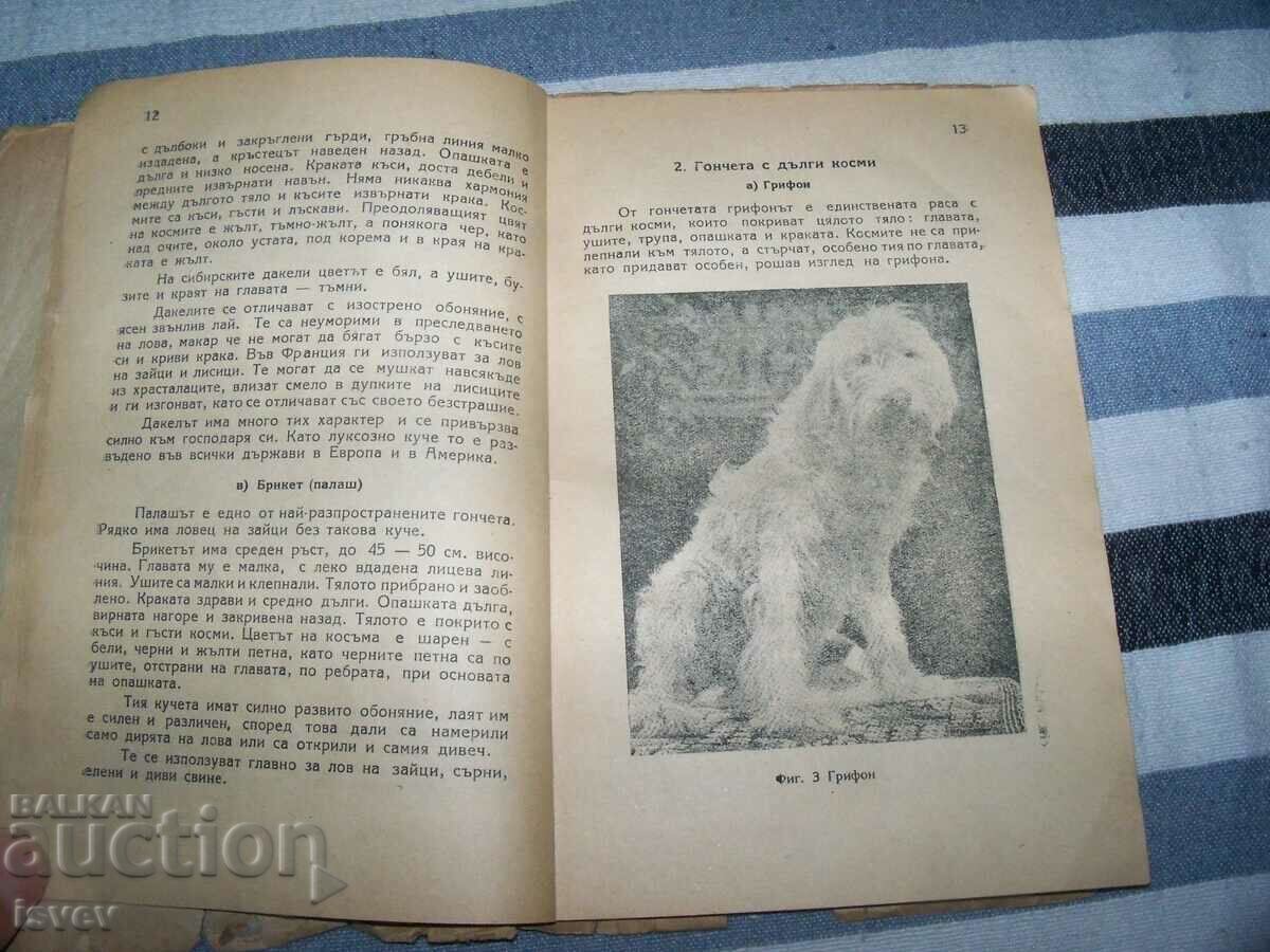 Delivery of "Hunting Dogs" edition 1949.