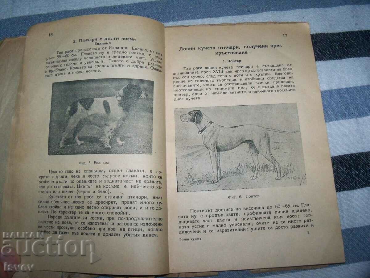 "Hunting Dogs" edition 1949. - 5