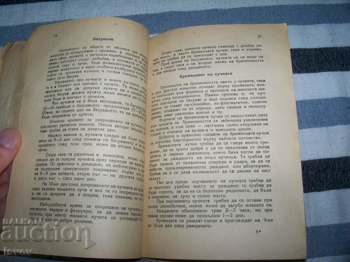 "Hunting Dogs" edition 1949. - 7