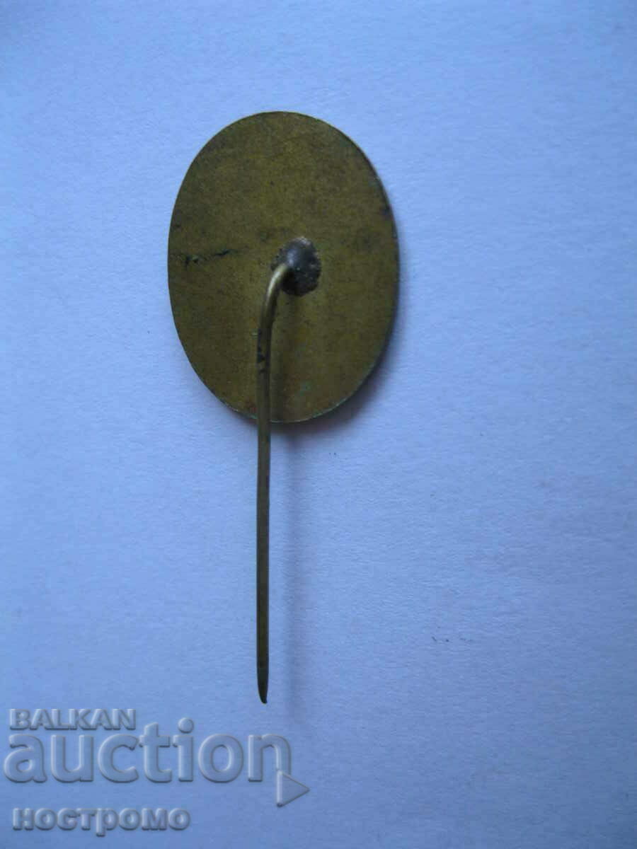 Bronze and enamel - Conservationist - A 325 with price 6.00 BGN | € 3.07 Bronze and enamel - Conservationist - A 325 with price 6.00 BGN | € 3.07