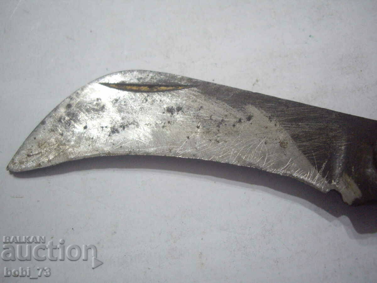 Auction Old orchard stalk. Auction Old orchard stalk.