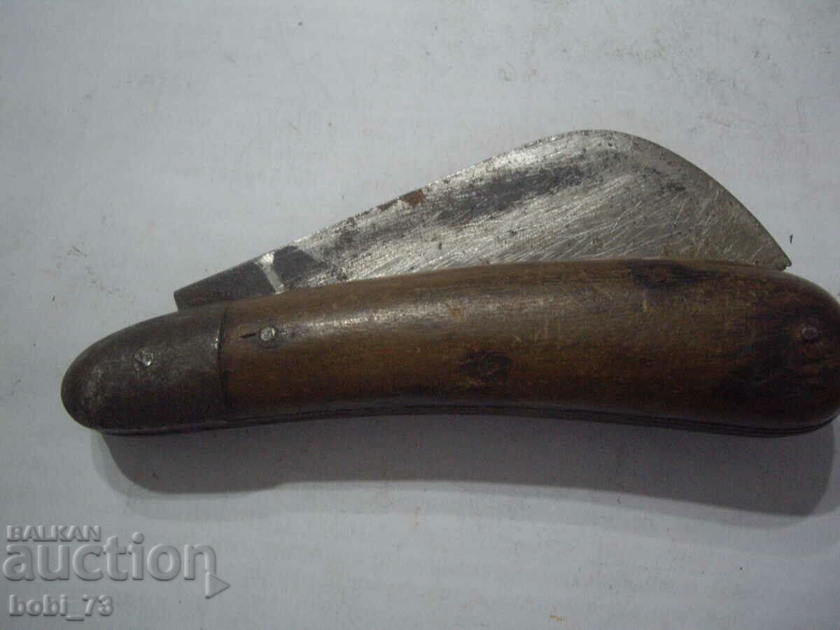 Old orchard stalk. - 5 Old orchard stalk. - 5