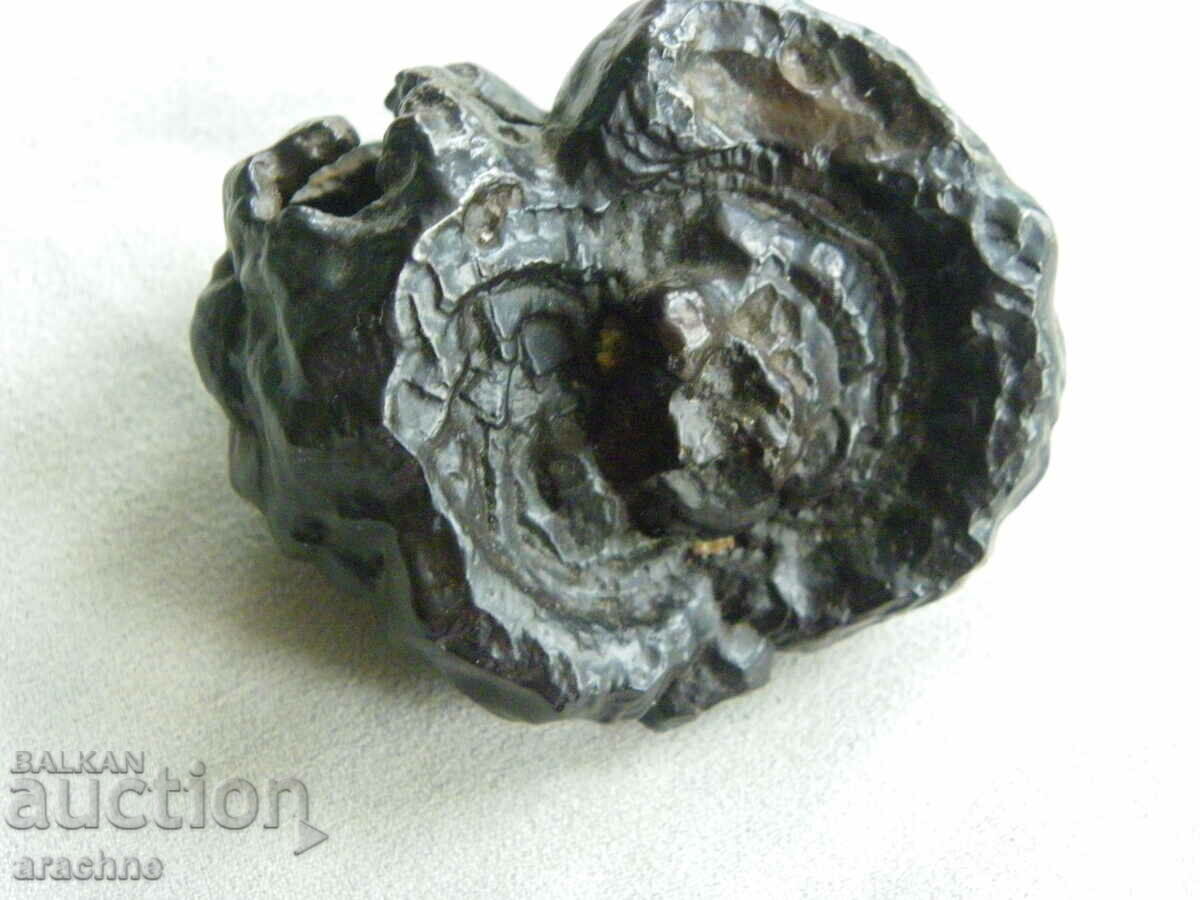 Tektite με τιμή 95.00 BGN | € 48.57 Tektite με τιμή 95.00 BGN | € 48.57