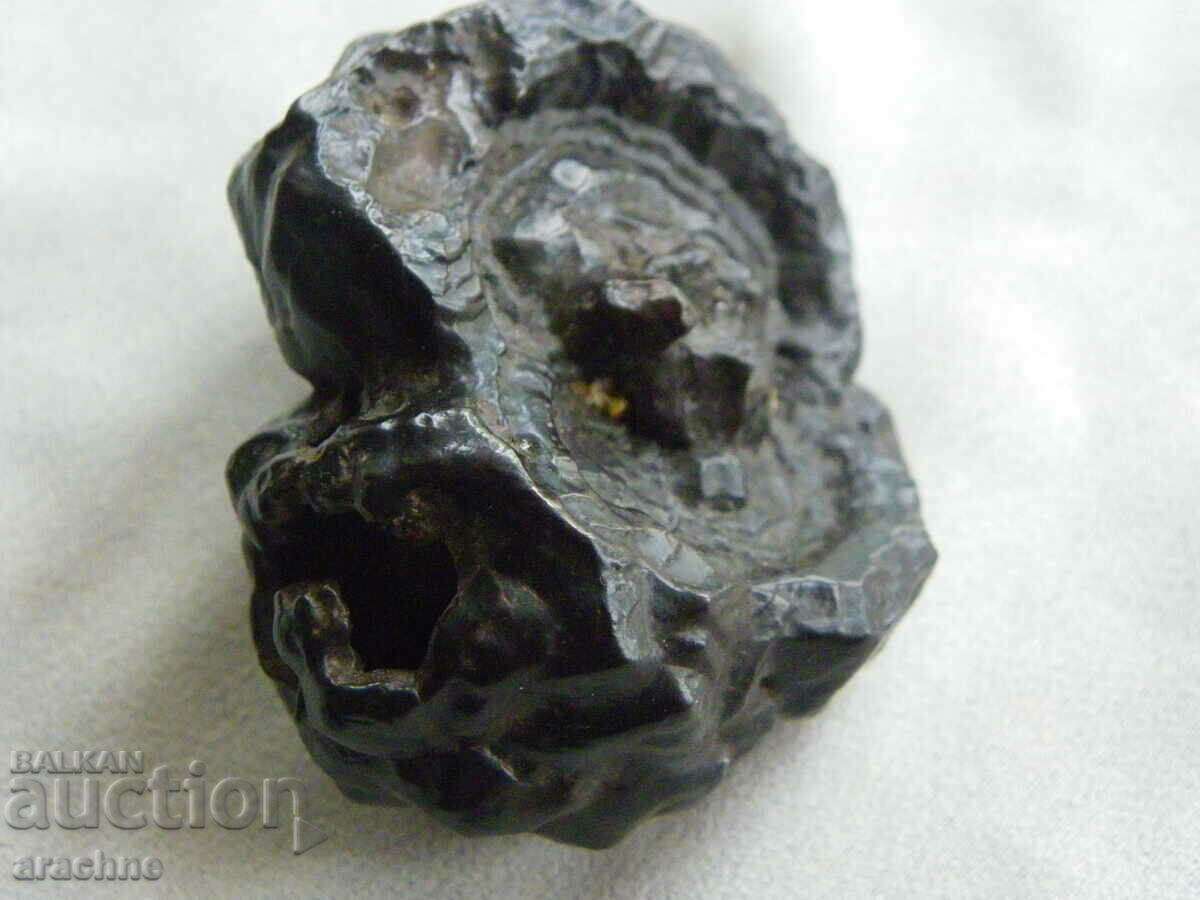 Δημοπρασία Tektite Δημοπρασία Tektite