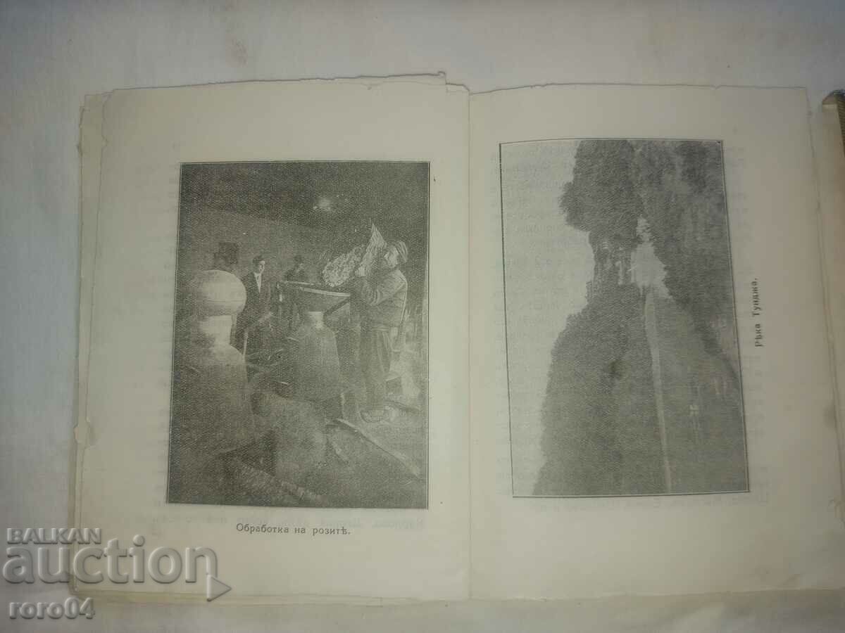 Delivery of THE VALLEY OF ROSES - K. RACHEV T. BLAGOEV Delivery of THE VALLEY OF ROSES - K. RACHEV T. BLAGOEV