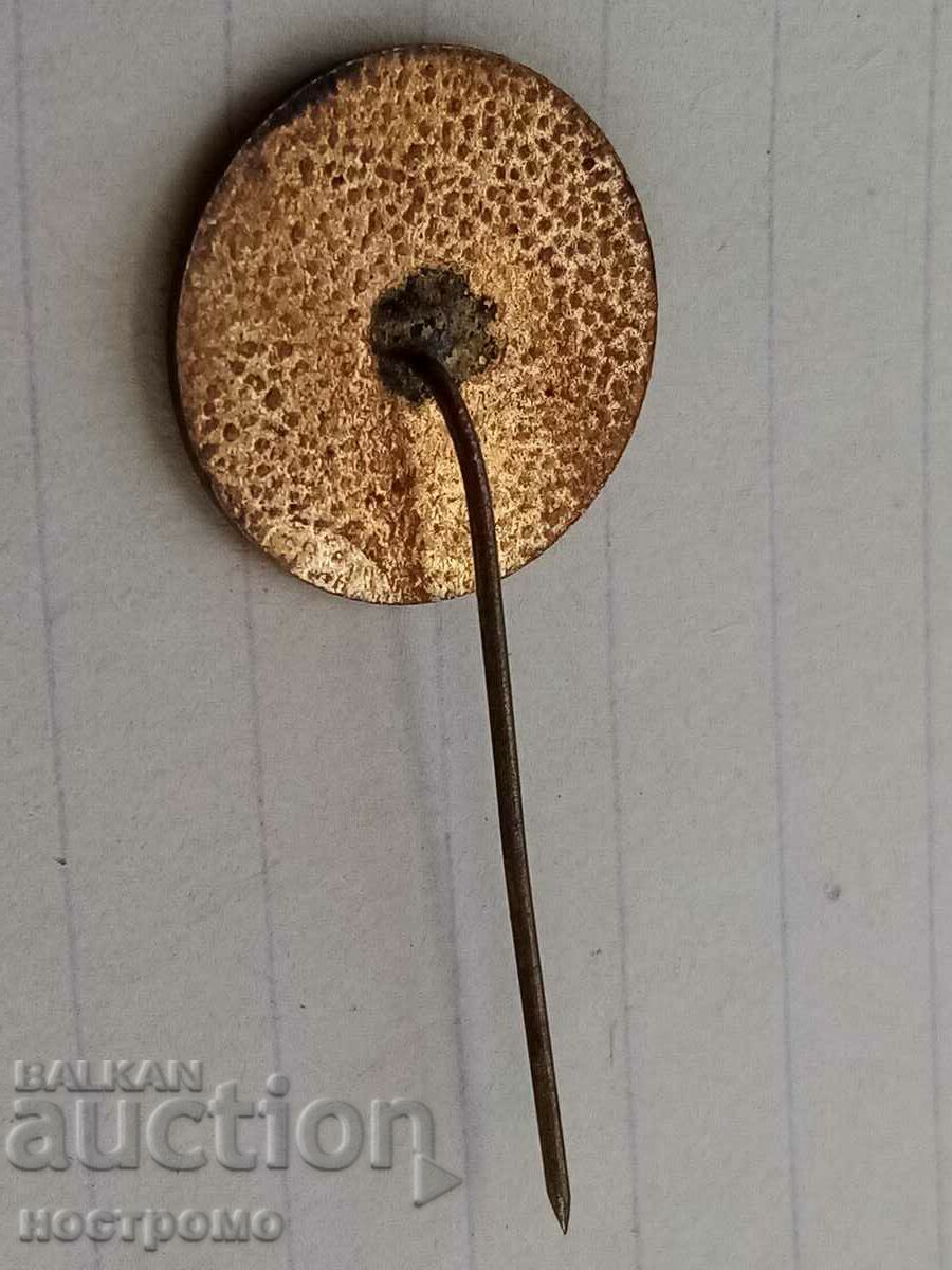 Bronze and enamel - Shipka temple - A 365 with price 5.00 BGN | € 2.56 Bronze and enamel - Shipka temple - A 365 with price 5.00 BGN | € 2.56