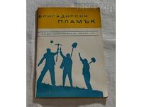 SP. "BRIGADE FLAME" DKMS VARNA №4 1973.