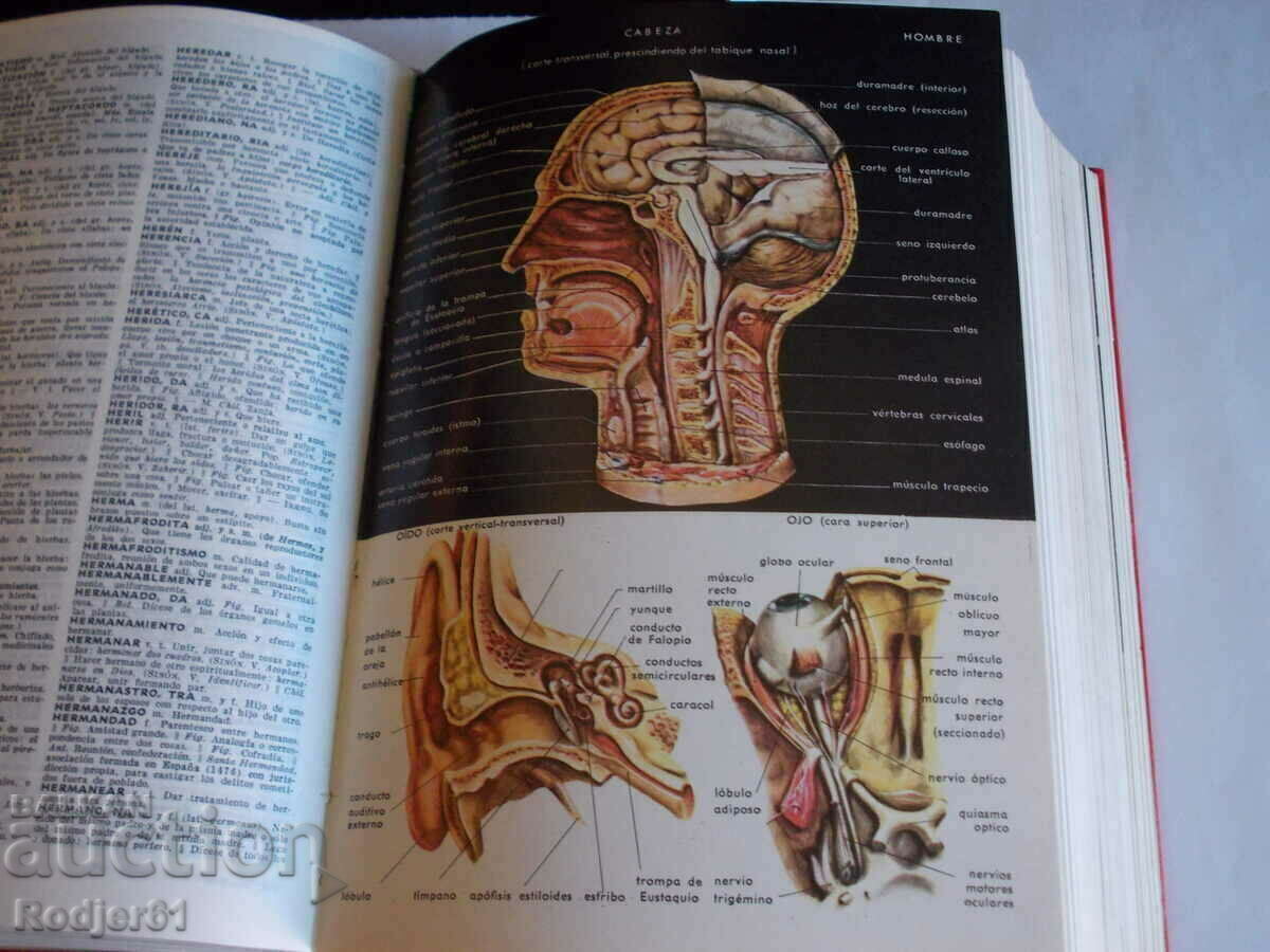 Δημοπρασία Λεξικά - Εγκυκλοπαίδεια LAROUSSE στα Ισπανικά Δημοπρασία Λεξικά - Εγκυκλοπαίδεια LAROUSSE στα Ισπανικά