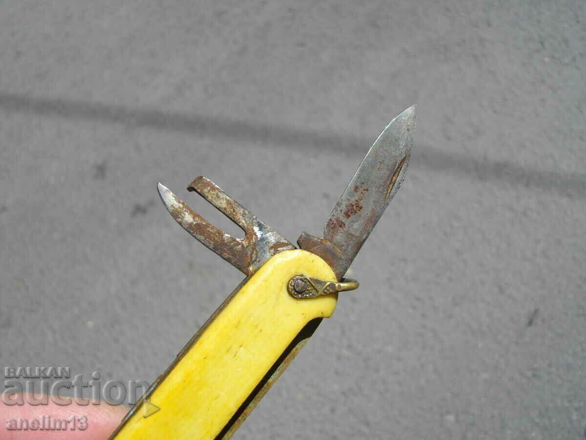 Auction COLLECTION JOINTS Auction COLLECTION JOINTS