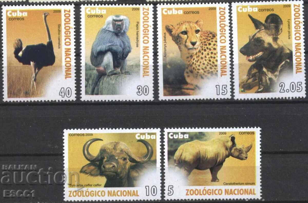 Чисти марки Фауна Животни Национален зоопарк 2009 от Куба