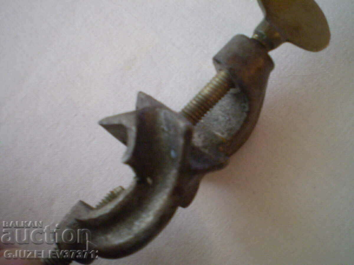 Auction collectible Lab brace Auction collectible Lab brace