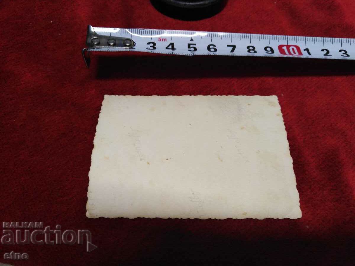 Аукцион ЦАРСКА СНИМКА- НОСИЯ, кобилица, менци Аукцион ЦАРСКА СНИМКА- НОСИЯ, кобилица, менци