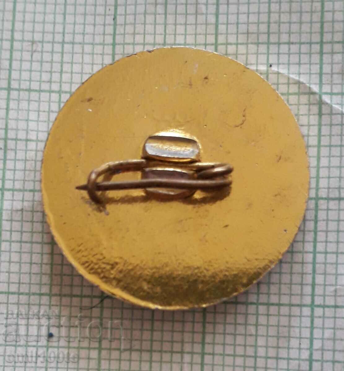 Livrarea Insigna - Revolta din 60 septembrie Tomin Most