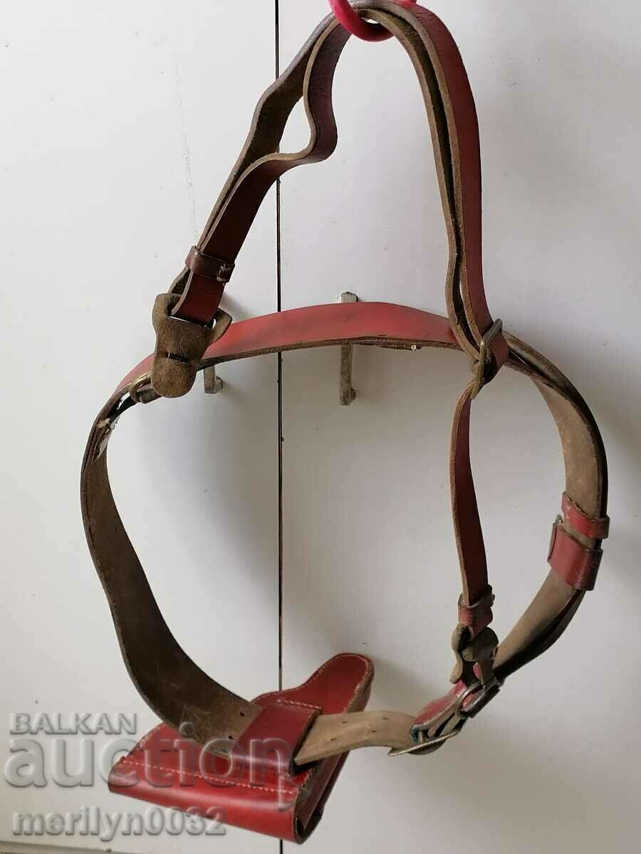 Imperial Officers Combat Belt WW2 Walther RR Pistol Holster - 7