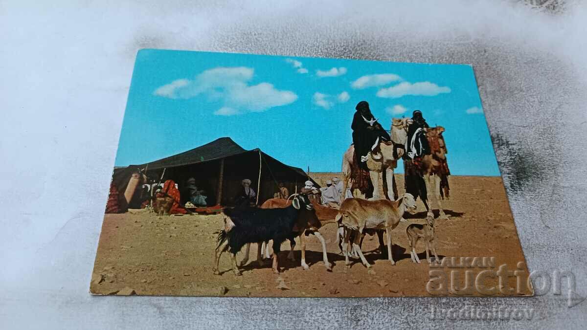 Пощенска картичка Gadames Tuareg's Tents 1979