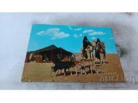 Пощенска картичка Gadames Tuareg's Tents 1979