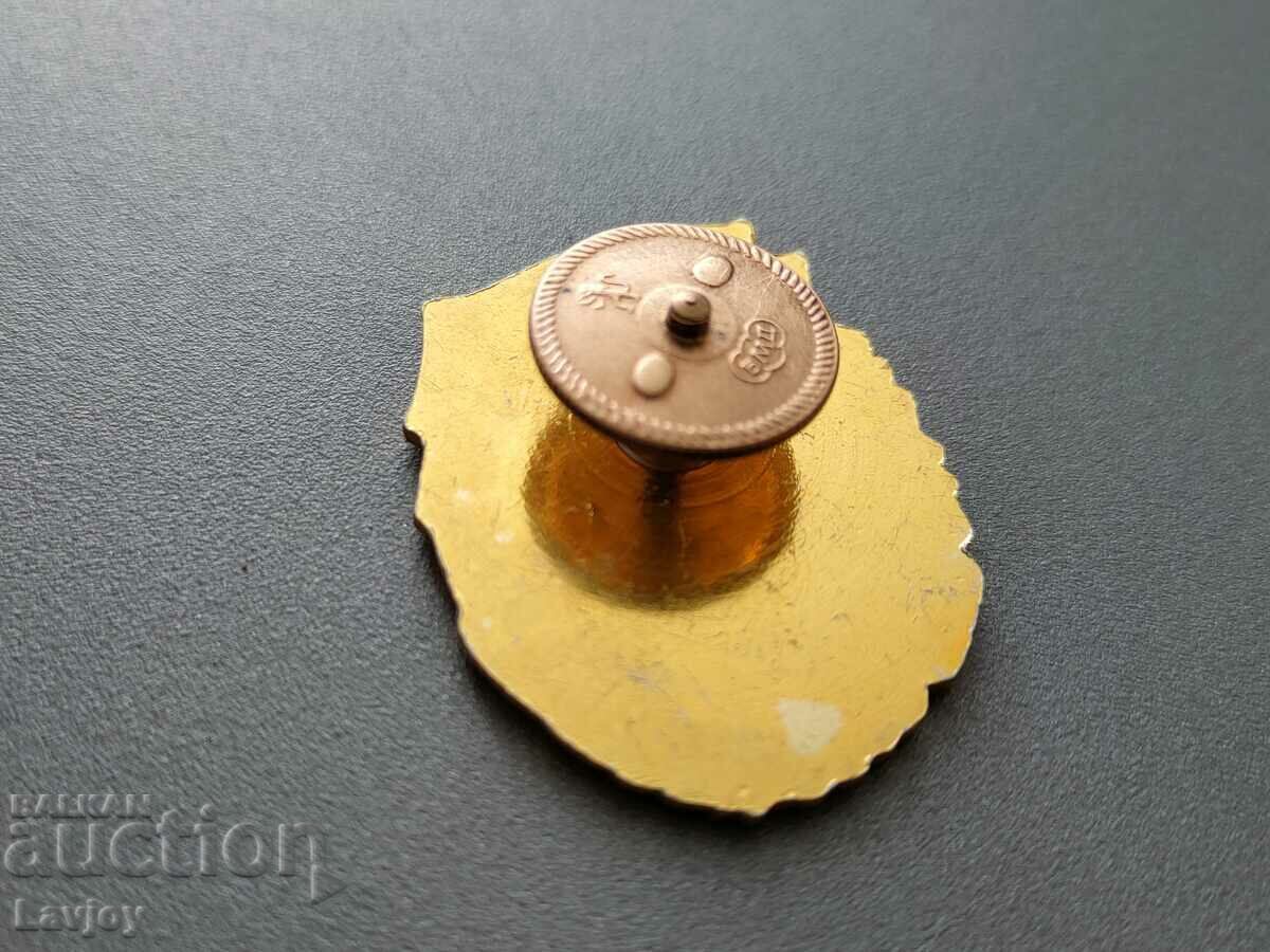 Award badge "Excellent in combat and political training." - 5 Award badge "Excellent in combat and political training." - 5