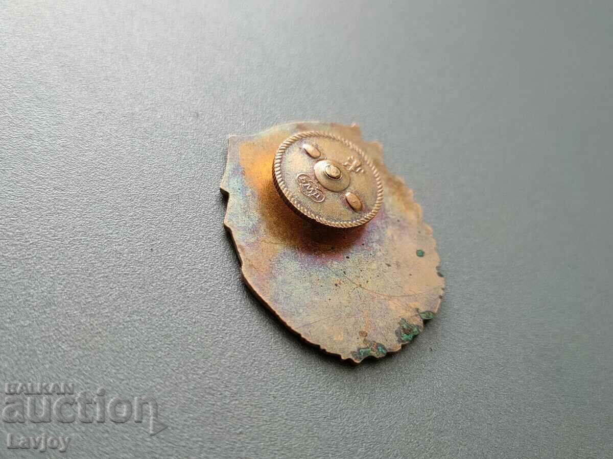 Badge "Combat Excellence" Old version - 5