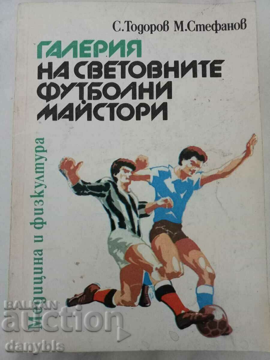 Football book - Gallery of world football masters
