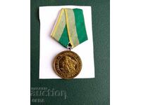 μετάλλιο τιμής συνοριοφύλακα