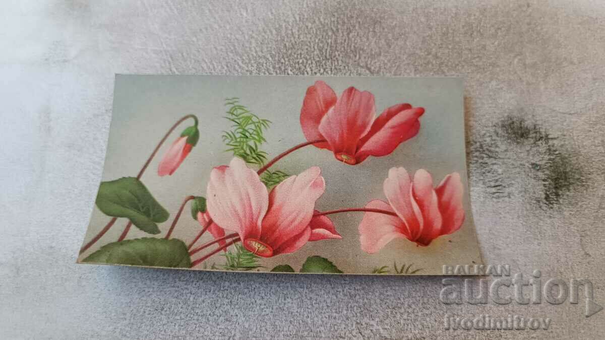 Carte poștală Floare