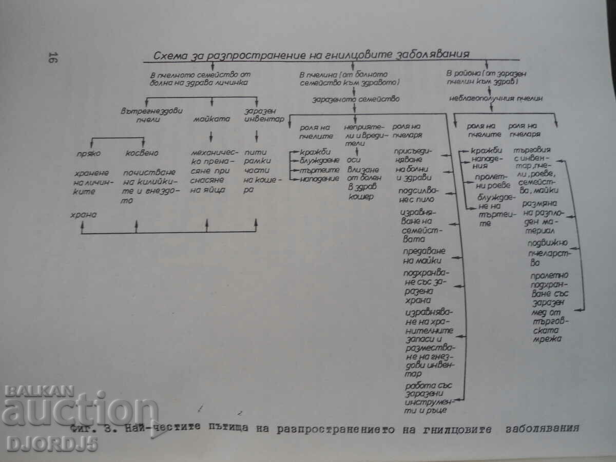 Auction Rotting diseases of the bee brood Auction Rotting diseases of the bee brood