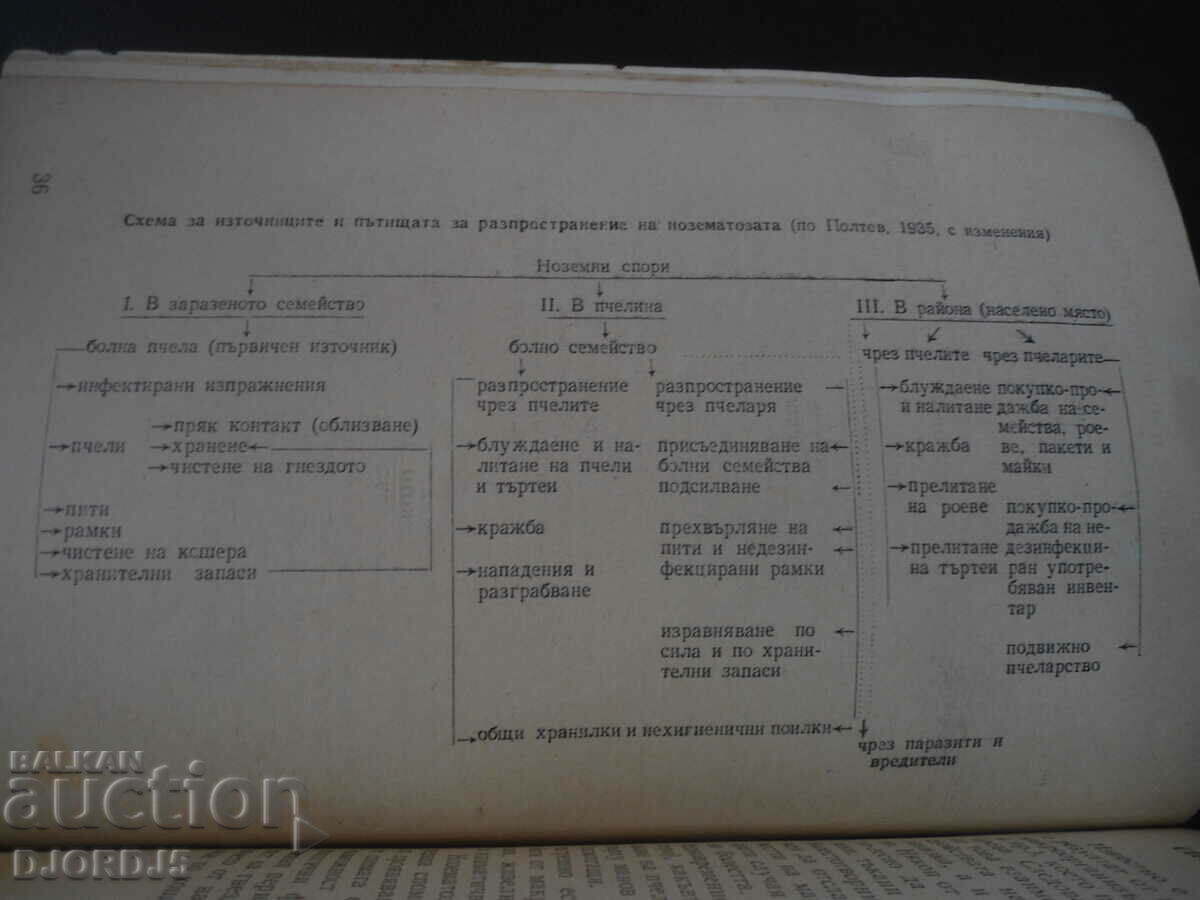 Auction Noseteosis on bees and the fight against it Auction Noseteosis on bees and the fight against it