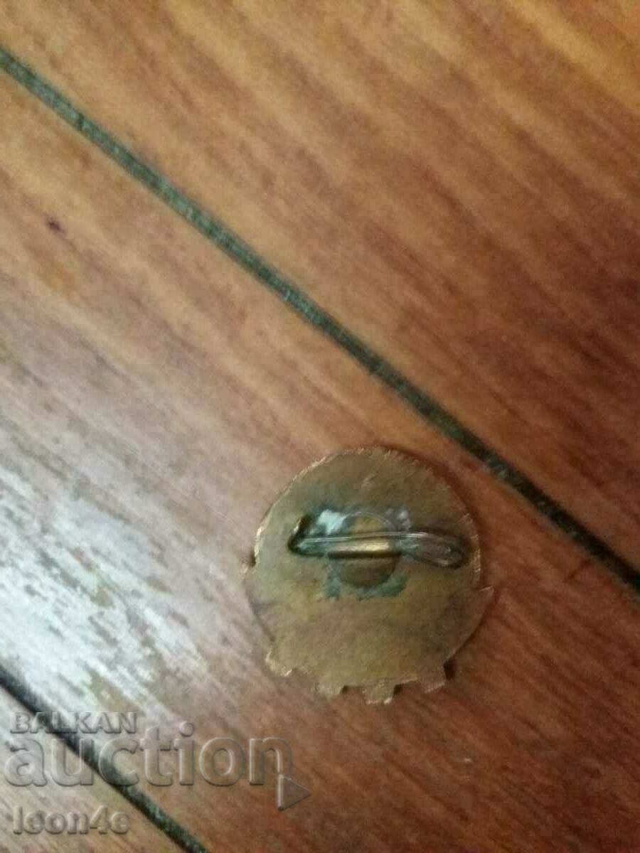 Social Sign Excellent Email with price 5.00 BGN | € 2.56