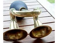 An ancient horn