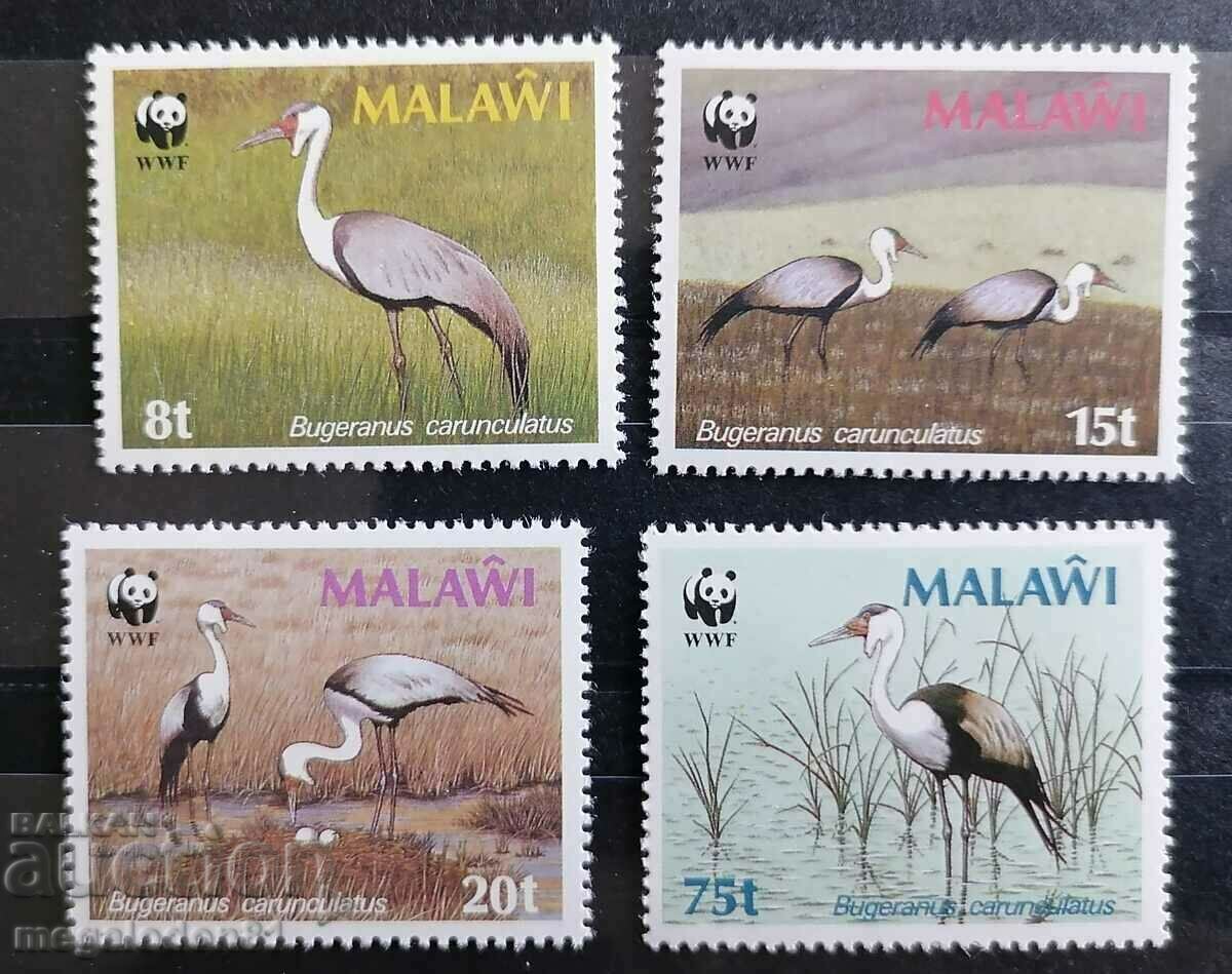 Malawi - WWF, fauna, crane