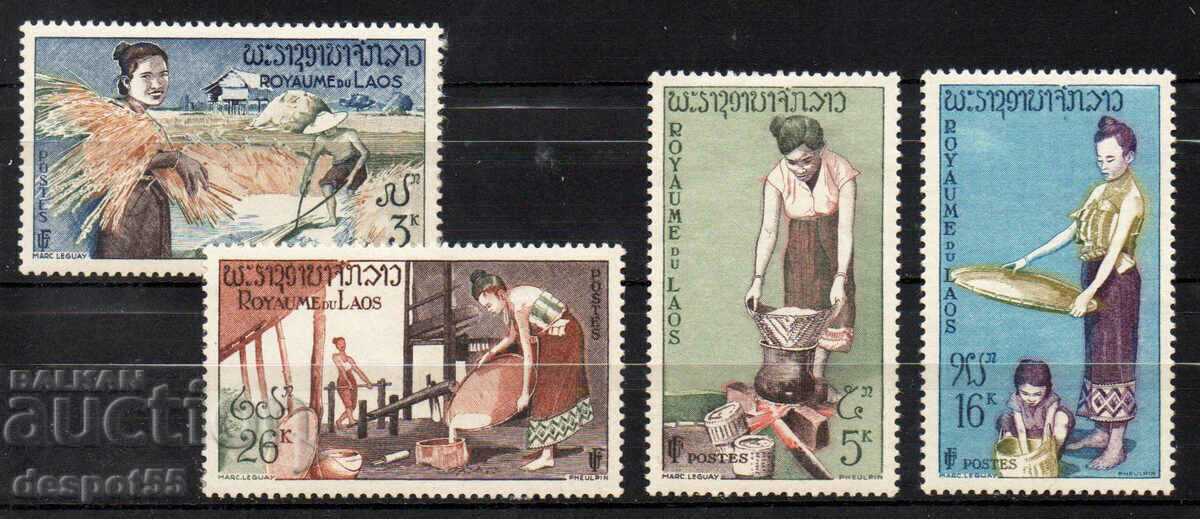 1957. Laos. Growing rice. 1957. Laos. Growing rice.