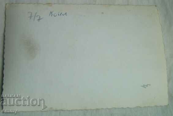 Auction Photo Kotel - monument Auction Photo Kotel - monument