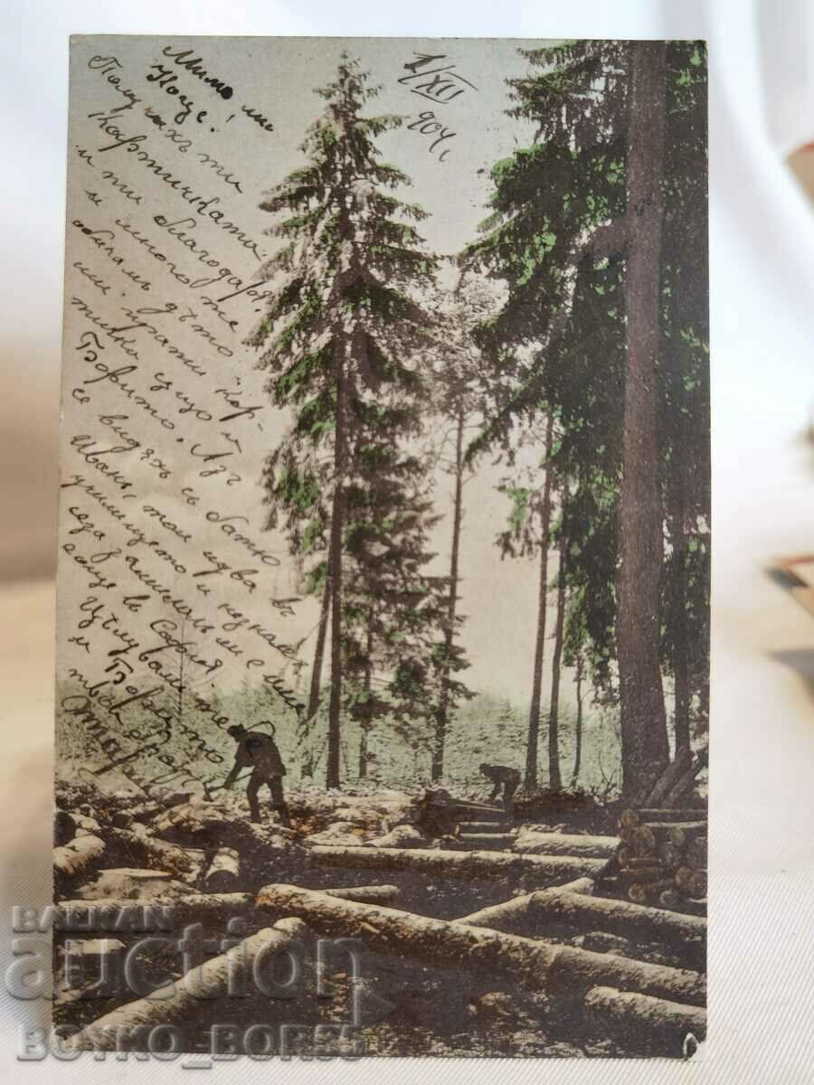 Carte poștală veche de la începutul secolului XX.